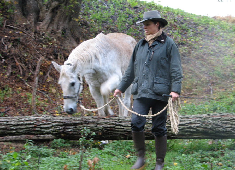 Horse-assisted leadership training for individuals and groups